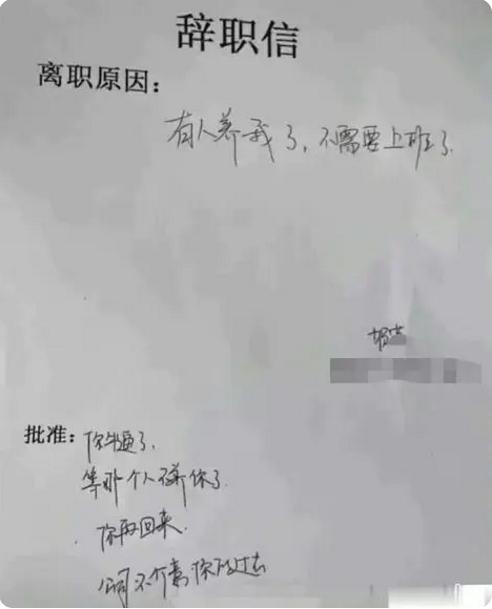 图片[4]-辞职原因参考 - 如意-如意