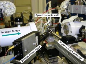 Praying Mantis原位漫反射-如意