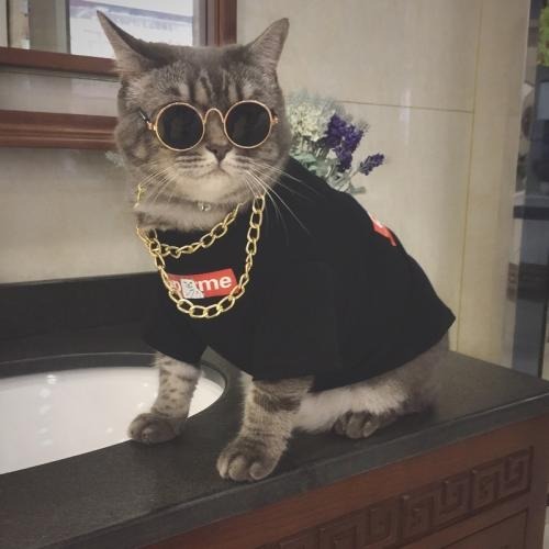 图片[8]-7个国内能打开的AI绘画网站 - 如意-如意