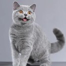 图片[23]-7个国内能打开的AI绘画网站 - 如意-如意