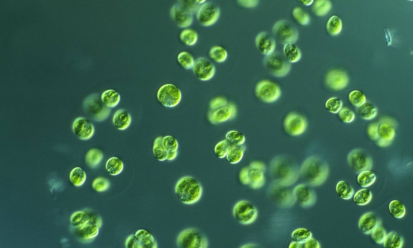 图片[10]-atp - 如意-如意