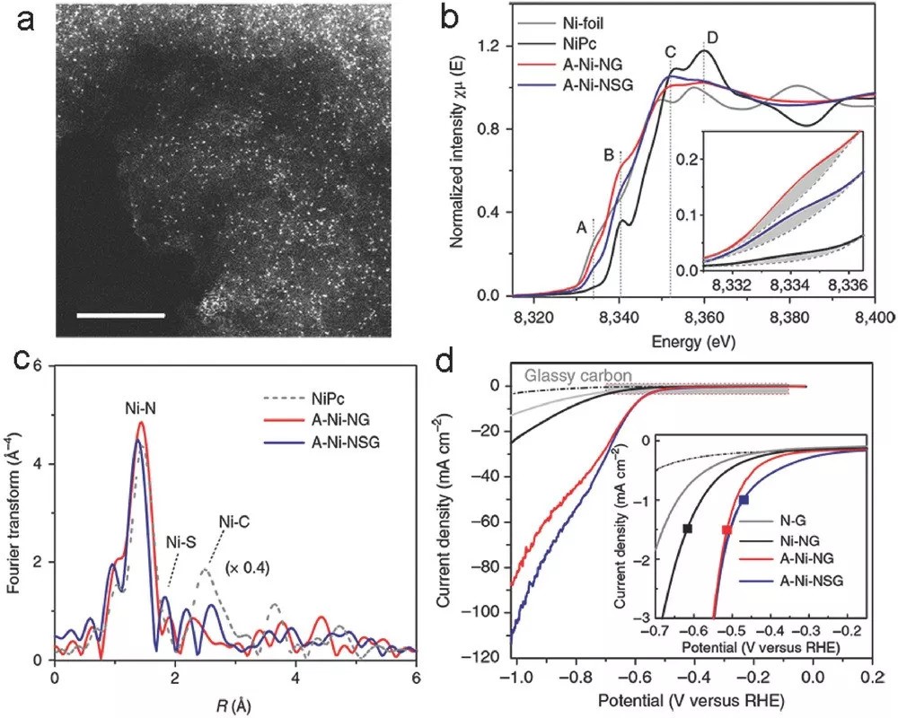 图片[14]-了解碳基单原子催化剂，从陈少伟最新AM综述开始！ - 如意-如意