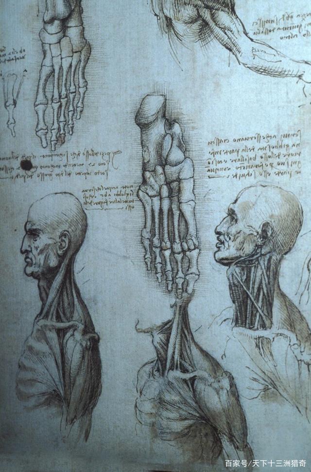 图片[9]-达芬奇，人类历史上独一无二的全才，曾被怀疑是从现代穿越的天才 - 如意-如意