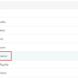 解决WordPress错误：Call to undefined function trailingslashit-如意