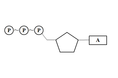 图片[5]-atp - 如意-如意