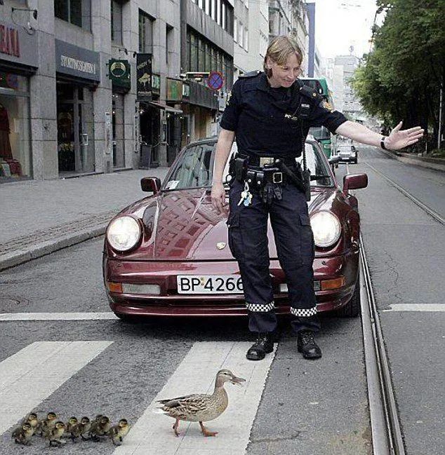 经典 | 毁灭人类的不是核弹，是圣母 - 如意-如意