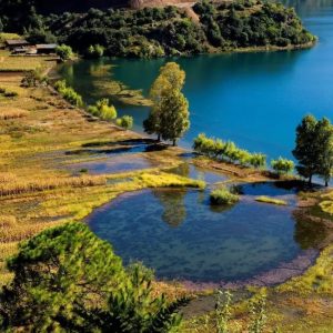 坏土豆作品全集-如意