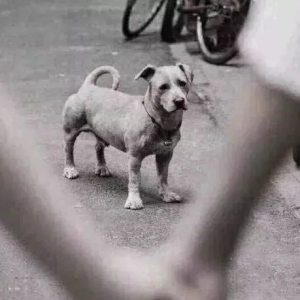 深度 | 懂得很多道理,却依然过不好这一生-如意