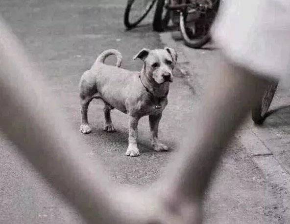 深度 | 懂得很多道理，却依然过不好这一生 - 如意-如意