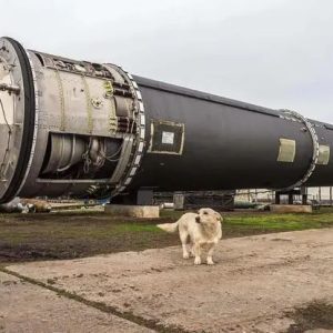 深度 | 外祖母是斯大林格勒的雄鹰，我却只能出卖身体-如意