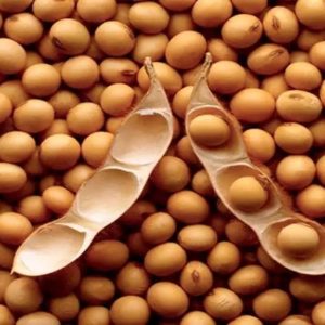 深度 | 惊心动魄，美帝的全球粮食战争！-如意