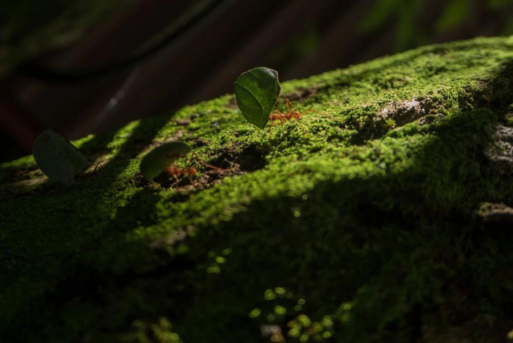 图片[2]-《三体》中的这 80 句话，直接封神！ - 如意-如意