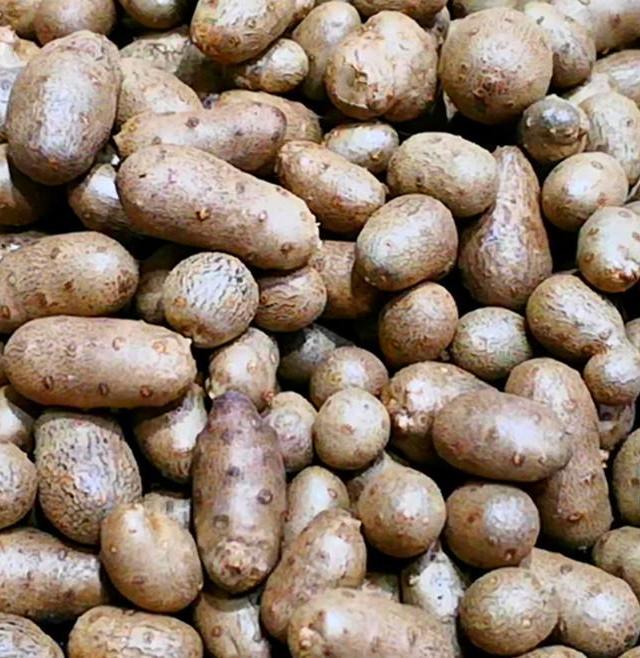 图片[2]-秋天，吃红薯南瓜不如吃它，全身是宝，才2元一斤，炒着吃太香了 - 如意-如意