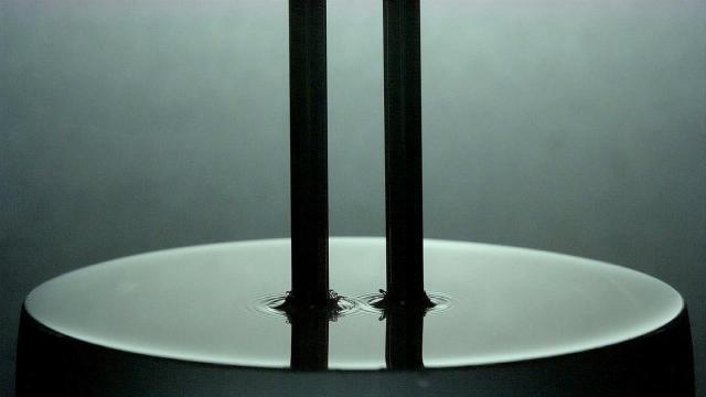 图片[4]-共振 - 如意-如意