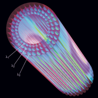 图片[13]-共振 - 如意-如意