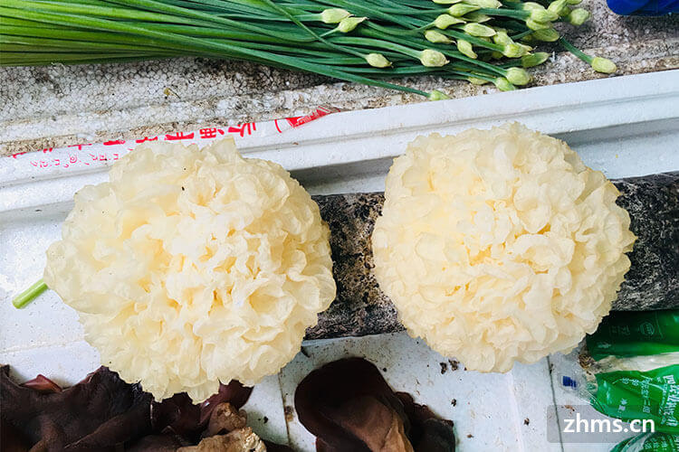 清淡无油食谱,只为健康的你 清淡无油食谱,只为健康的你