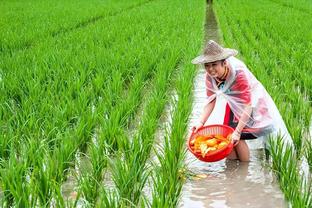 图片[14]-达芬奇，人类历史上独一无二的全才，曾被怀疑是从现代穿越的天才 - 如意-如意