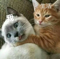 图片[32]-为什么有的人从不读书但其远见、思维方式、做事方法却那么卓越？ - 如意-如意