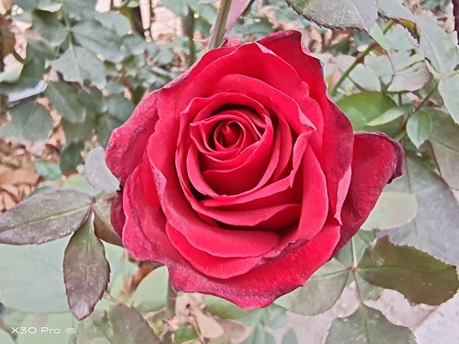 图片[25]-vivo X30 Pro值得买吗 vivo X30 Pro手机全面评测 - 如意-如意