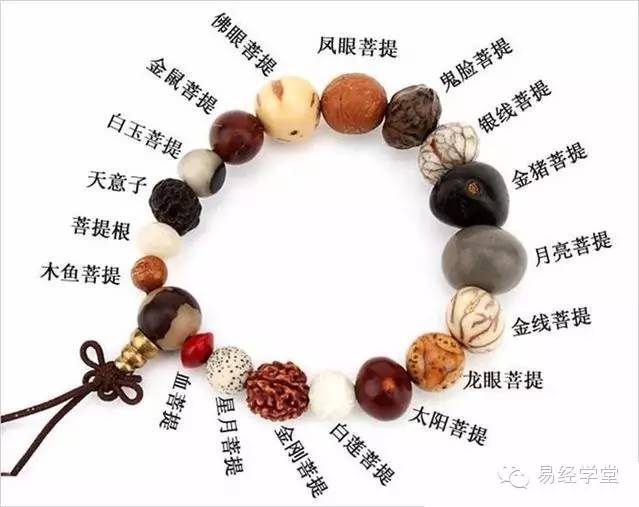 ✅吉祥物｜十八籽菩提手串 - 如意-如意