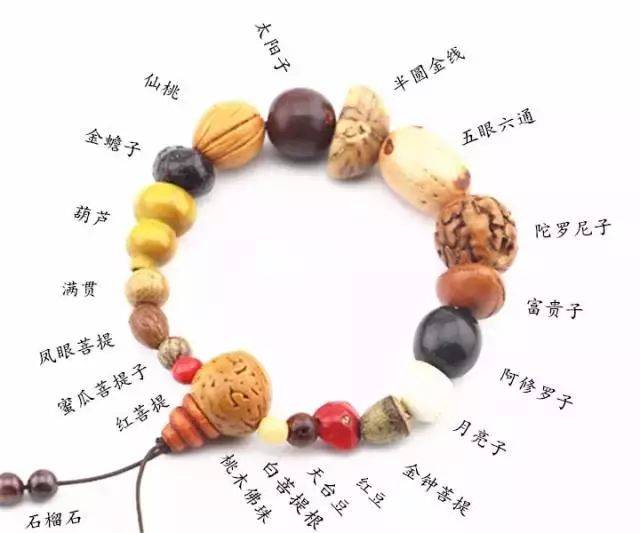 图片[4]-科普下手串中的“十八子”和“十八籽 - 如意-如意