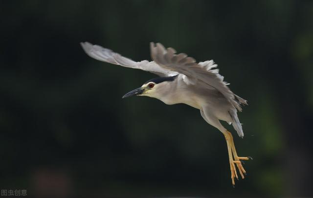 图片[3]-村上春树告诉你，当你穿过暴风雨，你早已不再是原来那个人 - 如意-如意