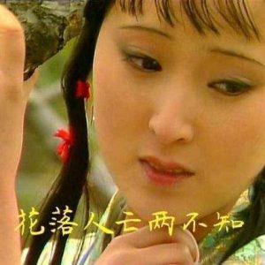 为什么红颜薄命-如意