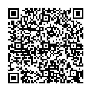 《新型炭材料（中英文）》2021-2022年高被引论文-如意