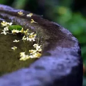 得人心者得天下，得人气者得财气-如意