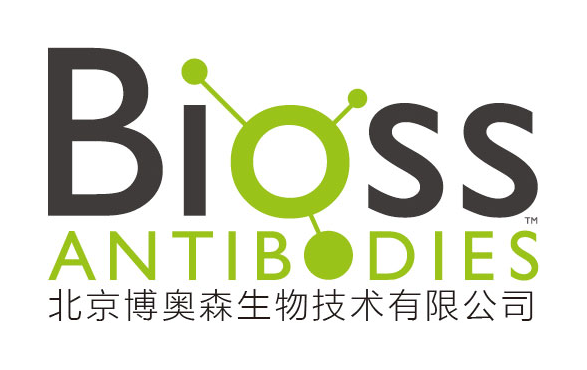 图片[61]-北京伊诺凯科技有限公司 https://www.inno-chem.com.cn/ - 如意-如意