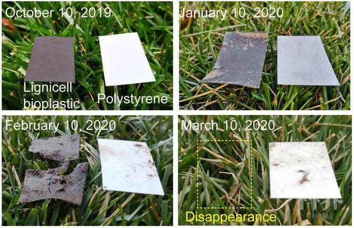 图片[8]-“木头大王”胡良兵《Nature》子刊： 玻璃棒搅一搅就能做出堪称完美的可降解生物塑料 - 如意-如意