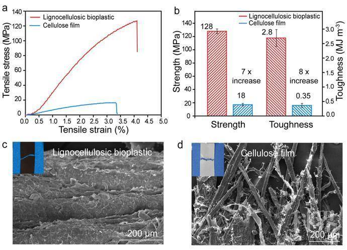 图片[5]-“木头大王”胡良兵《Nature》子刊： 玻璃棒搅一搅就能做出堪称完美的可降解生物塑料 - 如意-如意