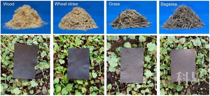 图片[10]-“木头大王”胡良兵《Nature》子刊： 玻璃棒搅一搅就能做出堪称完美的可降解生物塑料 - 如意-如意