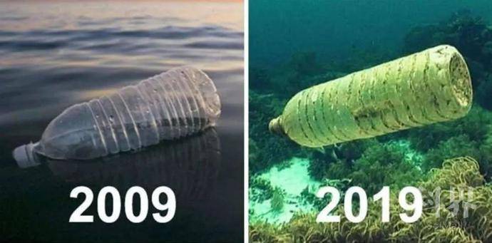 “木头大王”胡良兵《Nature》子刊： 玻璃棒搅一搅就能做出堪称完美的可降解生物塑料 - 如意-如意