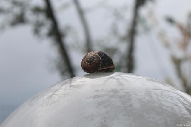 图片[3]-世界是我的表象，那么我是谁？（深度好文） - 如意-如意