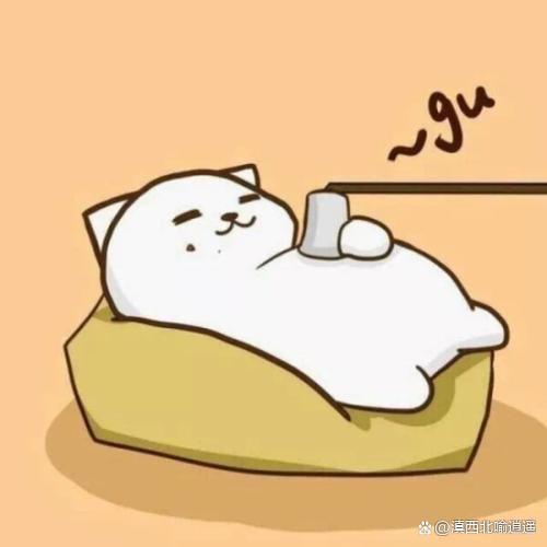 冷知识科普大全 - 如意-如意