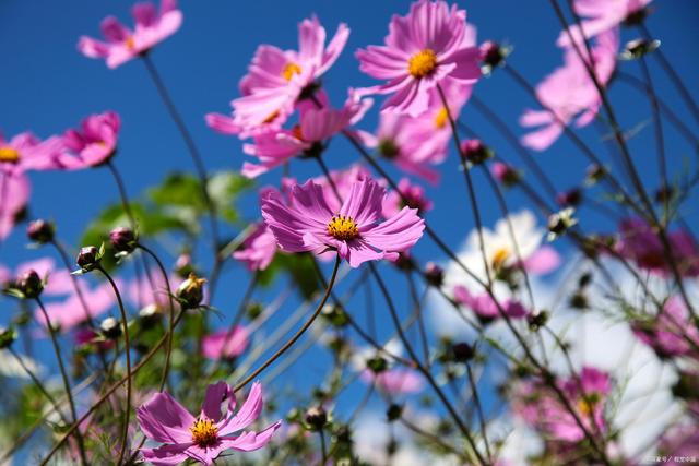 图片[2]-说话不得罪人的六种高情商技巧！（人际交往必备） - 如意-如意