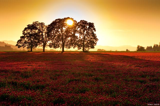 图片[3]-说话不得罪人的六种高情商技巧！（人际交往必备） - 如意-如意