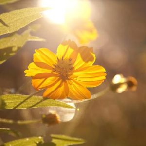 说话不得罪人的六种高情商技巧！（人际交往必备）-如意