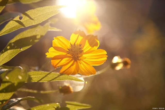 图片[1]-说话不得罪人的六种高情商技巧！（人际交往必备） - 如意-如意