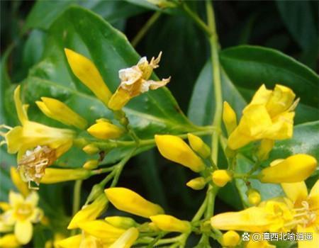 图片[4]-冷知识科普大全 - 如意-如意