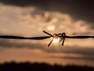 图片[2]-哲学的意义，就是给予人们一份别样的思考 - 如意-如意