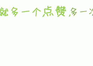 布偶猫：满眼星光，为你而亮-如意