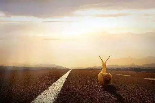 情商高手的五大谋略，学会了就能左右逢源！ - 如意-如意