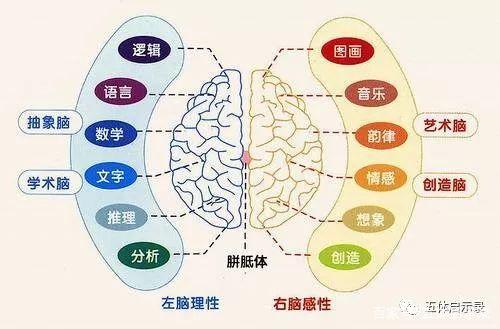 图片[3]-什么是潜能？人类的潜能到底有多大？是否能自主激发潜能？ - 如意-如意