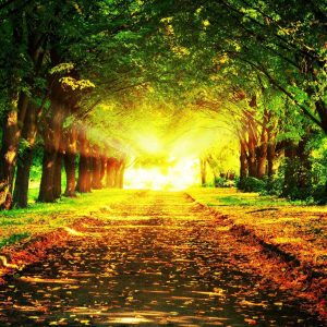 世界上有两个非常有名的心理学效应-如意