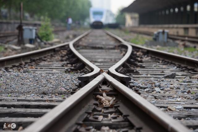 图片[6]-三大心理学巨头之一，阿尔弗雷德·阿德勒的坎坷人生 - 如意-如意