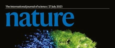 中国学者一作，登上Nature封面！夜间成像新突破！ - 如意-如意