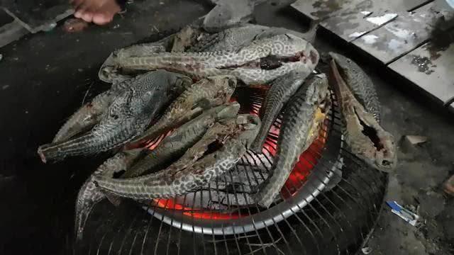 图片[6]-泛滥在中国“无解”入侵物种，人人嫌弃不敢吃，却是越南美食 - 如意-如意